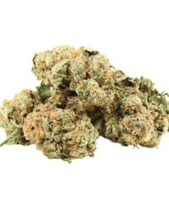 Master Kush