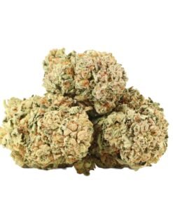 Maui Berry