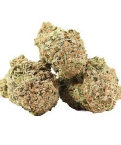 MK Ultra