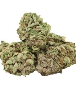 Pink Gas Strain