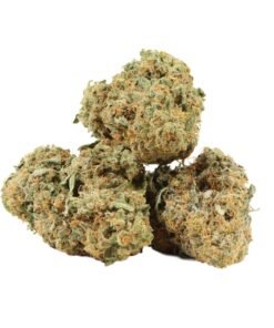 Romulan Strain