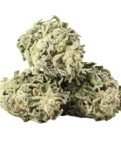 Tuna OG Strain kaufen Deutschland | Premium THC-reiches Cannabi