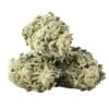 Tuna God Strain