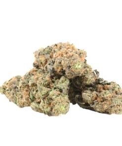 Yoda OG
